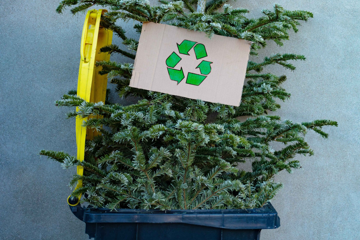Recycling your real Christmas tree Blue Diamond